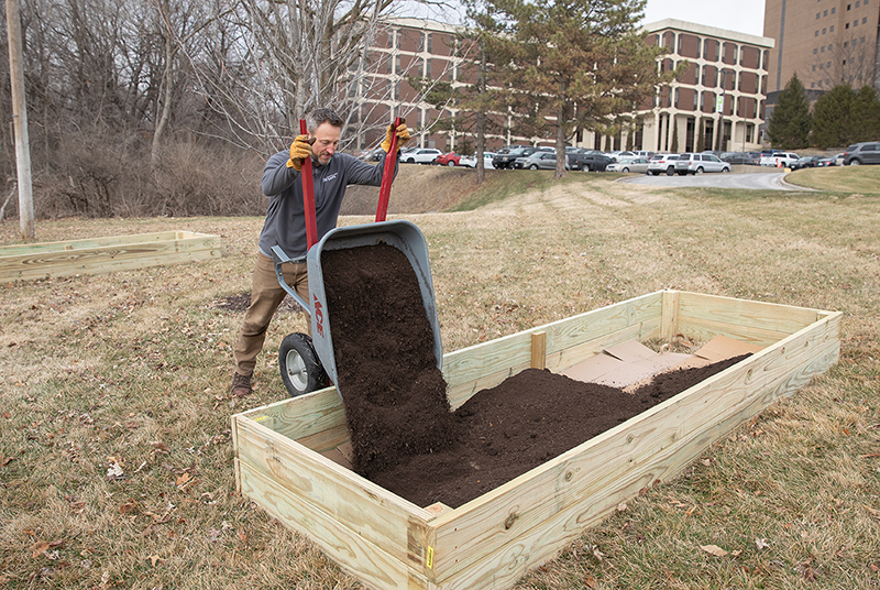 Man dumping dirt into raised garden bed