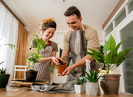 Couple taking care of their houseplants