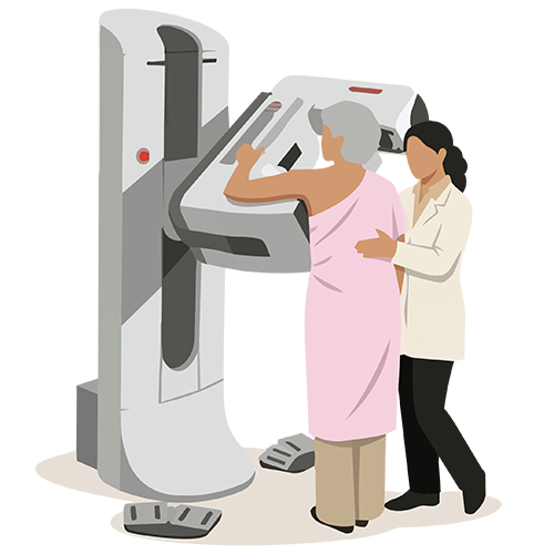 Illustration of a woman getting a mammogram