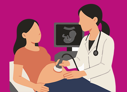 Illustration of a woman getting an ultrasound on a pink background