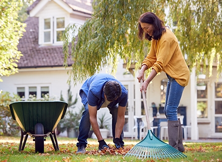 Couple raking and picking up leaves in yard.