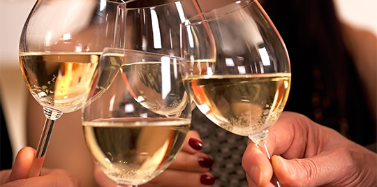 8 Local Wineries to Explore in the Northland