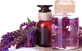 Essential Oils for Everyday